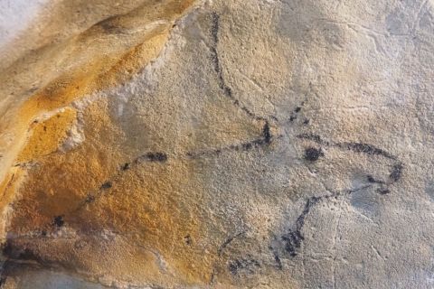 Cantabria: Cuevas de El Castillo y Arte Paleolítico