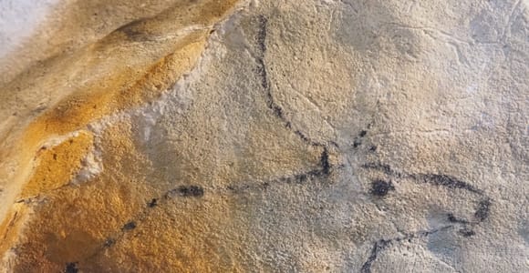 Santander: Höhlen von El Castillo & Tour zur paläolithischen Kunst