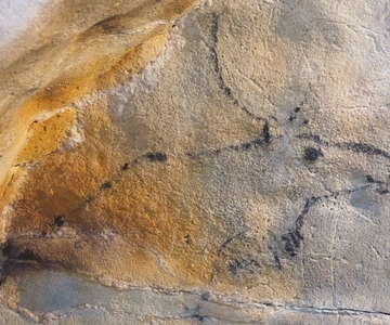 Cantabria: Cuevas de El Castillo y Arte Paleolítico