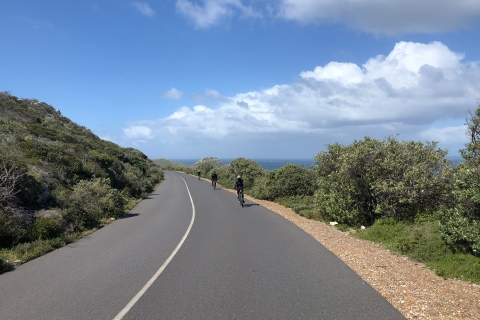 Von Kapstadt aus: Cape Point National Park E-Bike Tour