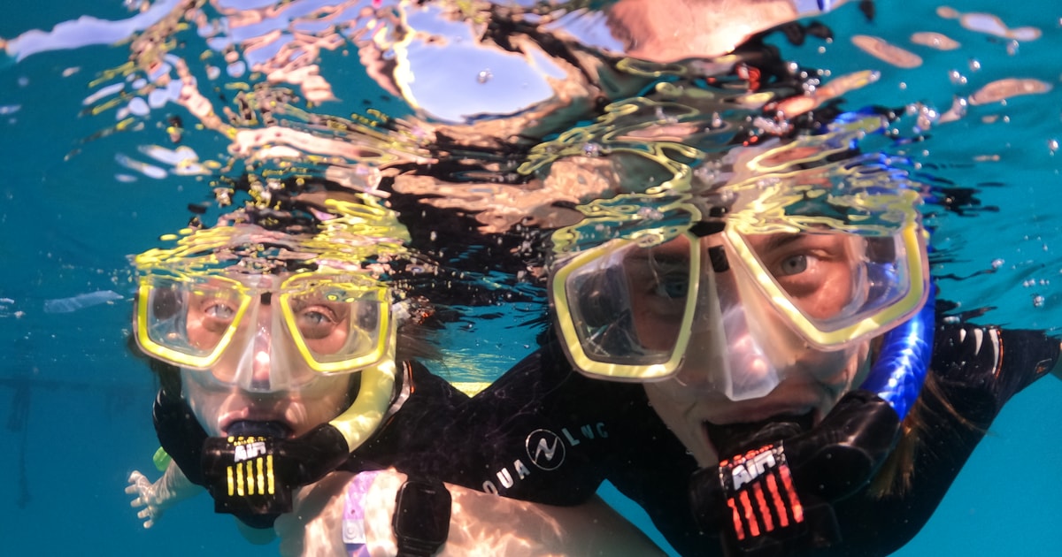 Tenerife HalfDay Snorkeling Tour GetYourGuide