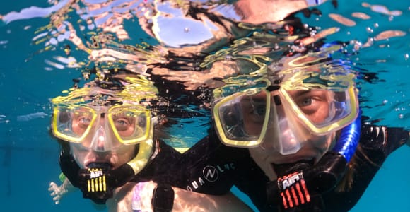 Tenerife: Abades Guided Beach Snorkeling Tour
