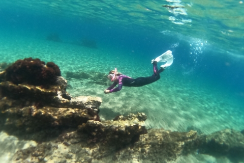 Tenerife: snorkeltocht van een halve dagTenerife: hele dag snorkelen