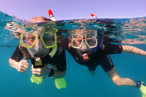 Tenerife: Half-Day Snorkeling Tour Tenerife Snorkelling Full Day Trip