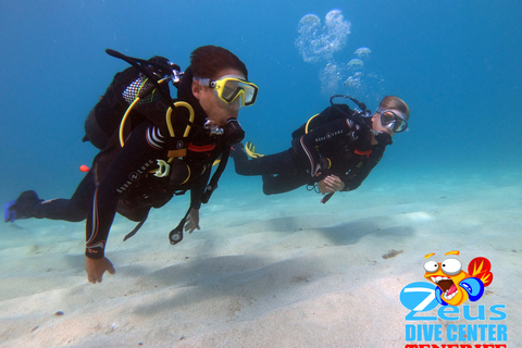 Tenerife: Experiência de mergulho para iniciantes na praia de Abades