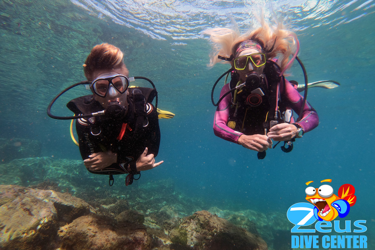 Medio día de submarinismo en playa de los Abades, TenerifeDiscover Scuba Diving