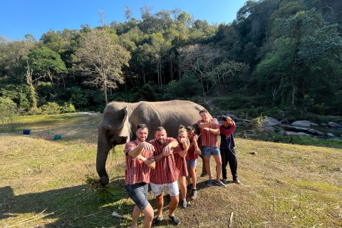 Chiang Mai: Doi Inthanon National Park & Elephant Sanctuary Group Tour with Hotel Pickup