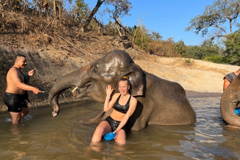 Chiang Mai : Parc national de Doi Inthanon et sanctuaire des éléphantsVisite de groupe avec point de rencontre