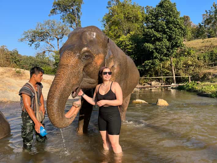 Chiang Mai Doi Inthanon Und Elefanten Schutzgebiet Tour GetYourGuide