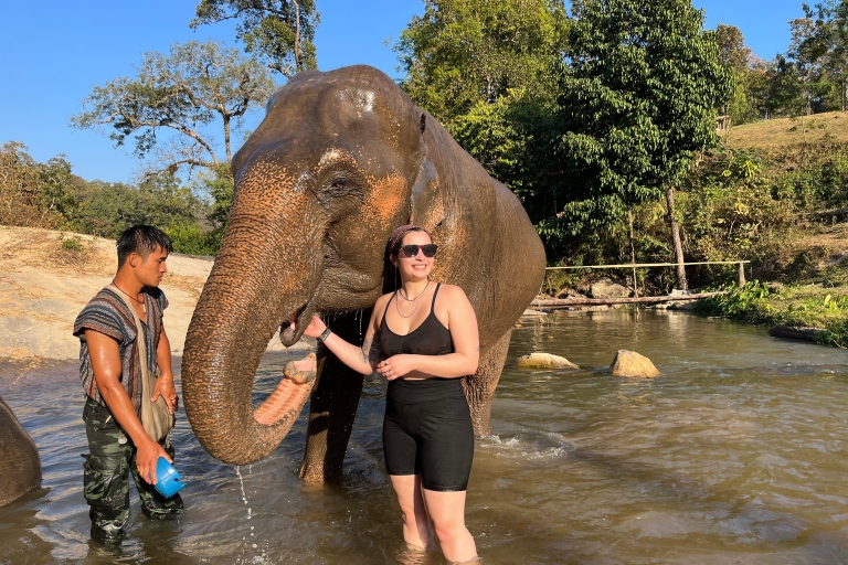 Chiang Mai: Nationaal park Doi Inthanon en olifantenreservaatGroepsreis met ontmoetingspunt