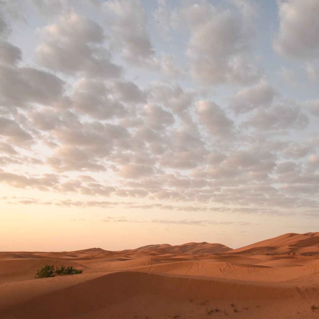 La visite touristique de Merzouga à ne pas manquer