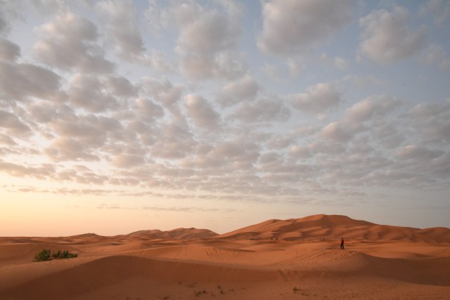 Visit Merzouga sightseeing tour that shouldn't be missed in Erfoud, Morocco