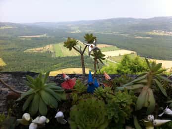 Istria: Guided Tour of Inner Istria with Food Tasting