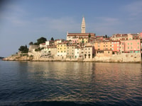 Istria, visita guidata dell'Istria meridionale e degustazione di olio d'oliva - Hizvo