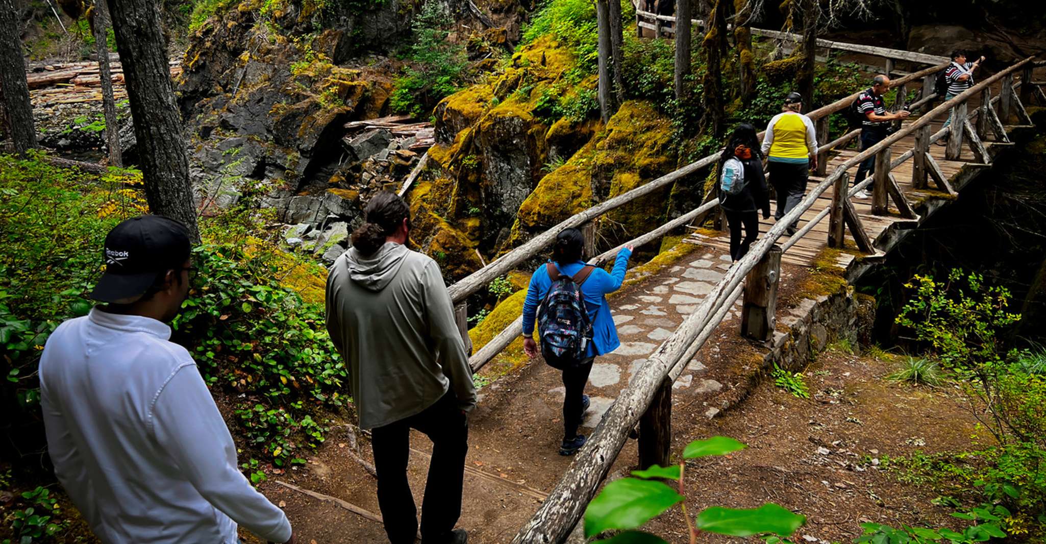 De Seattle, visite d'une journée du mont Rainier - Hizvo