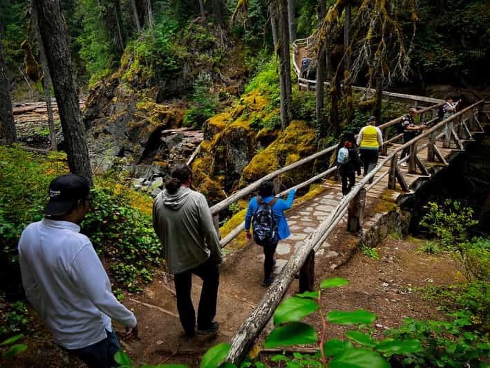 Mount Rainier National Park full-day tour from Seattle