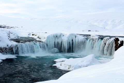 Z Akureyri: Wycieczka do Goðafoss i Húsavík z łaźniami Geosea