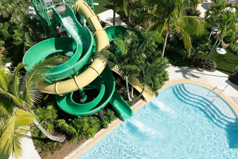 Fort Lauderdale: Pier Sixty-Six Resort Pool Day Pass