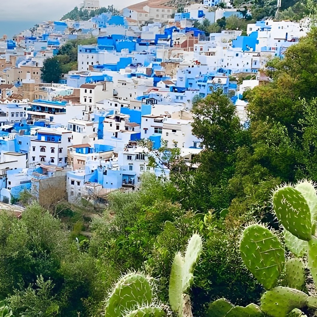 Depuis Tanger : Visite privée de Chefchaouen