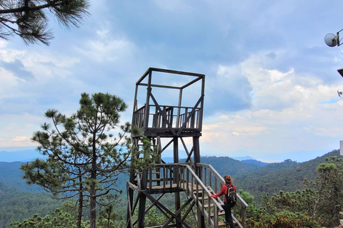 Oaxaca: Sierra Norte Ixtepeji Guided Hike & Lunch, Half-Day