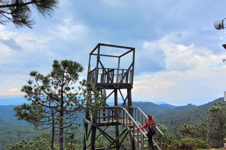 Oaxaca: Sierra Norte Ixtepeji Guided Hike & Lunch, Half-Day
