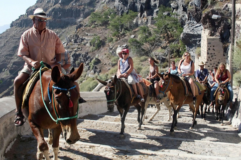 Från Rhodos: Lindos tur-retur busstransfer med fri tidRhodos: Bussresa till Lindos tur och retur med fri tid