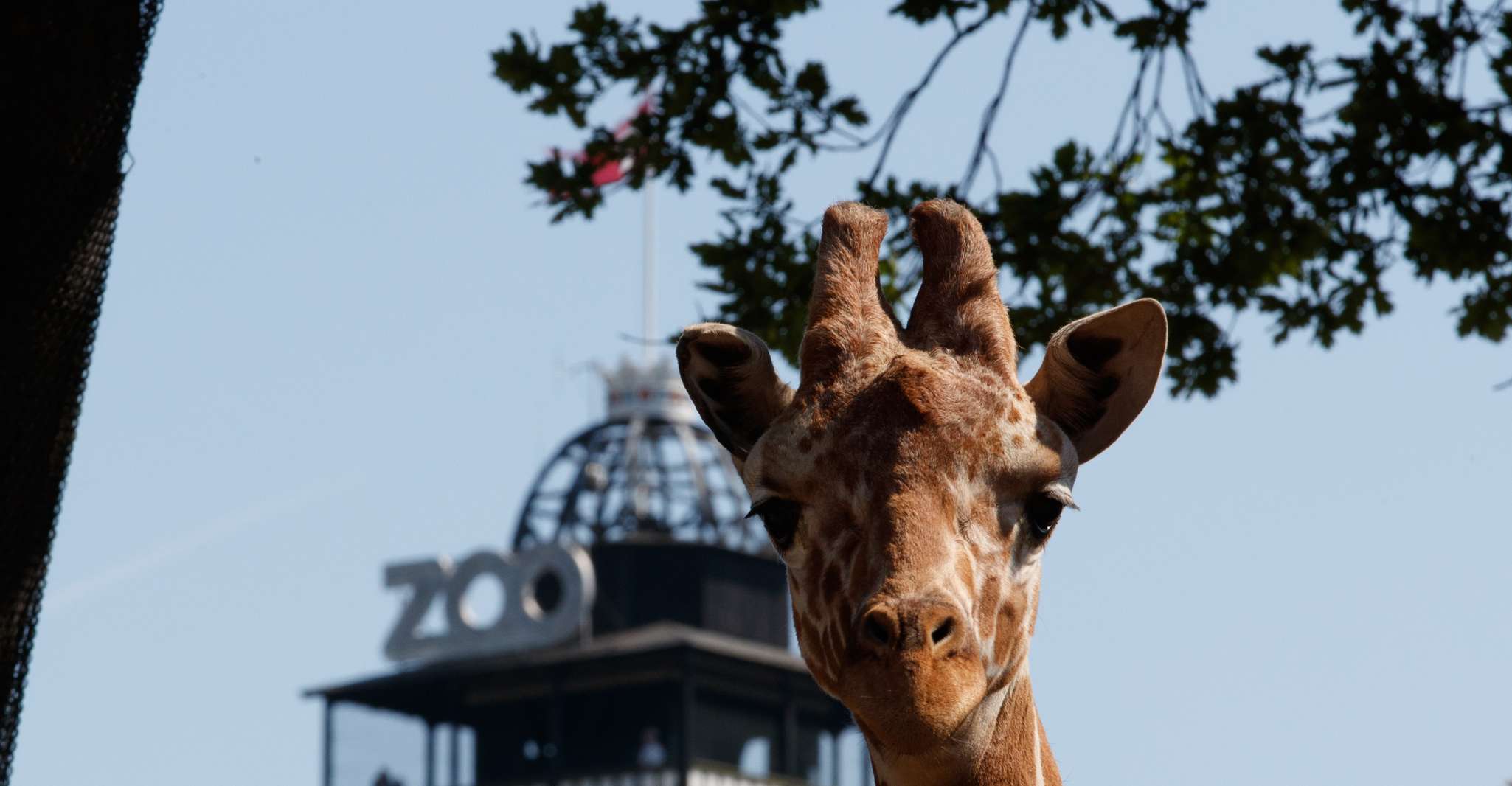 Copenhagen, Copenhagen Zoo Entry Ticket - Hizvo