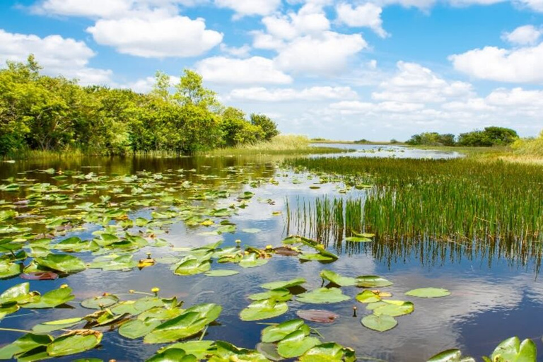 Fort Lauderdale: Everglades Express Tour com passeio de aerobarco