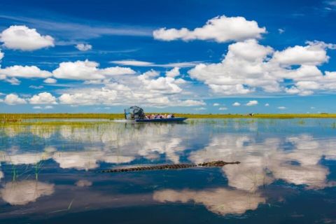 Fort Lauderdale: Day Trip to Everglades with Airboat Ride