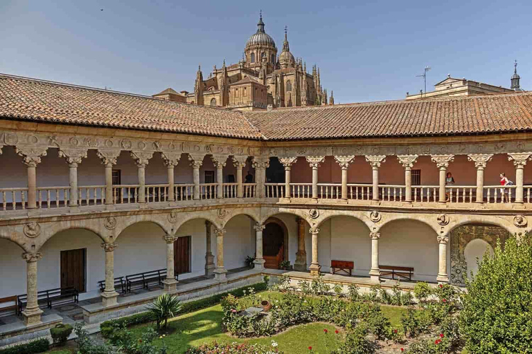 Salamanca: Private Guided Customizable Walking Tour Salamanca Private Walking Tour (3 hours)