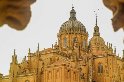 Salamanca: Private Guided Customizable Walking Tour Salamanca Private Walking Tour (3 hours)