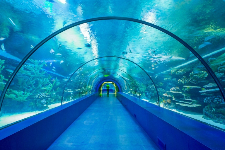 Antalya Aquarium Całodniowa wycieczka z Side