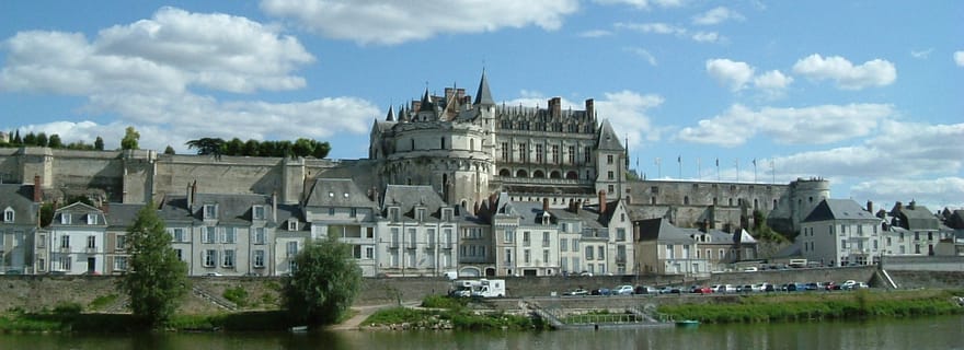 Amboise : Visite guidée privée du château avec billet d'entrée