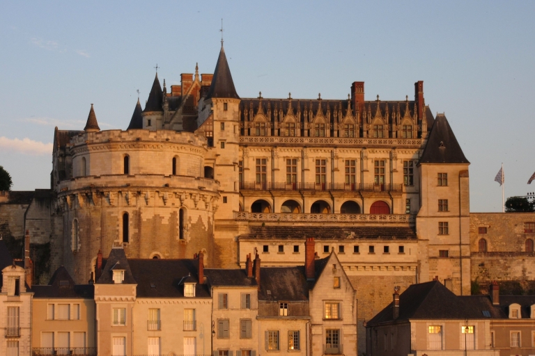 Amboise: Prywatna wycieczka po zamku z biletem
