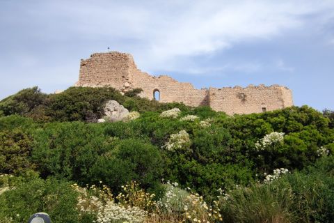Rhodes: Full Day Guided Island Bus Tour