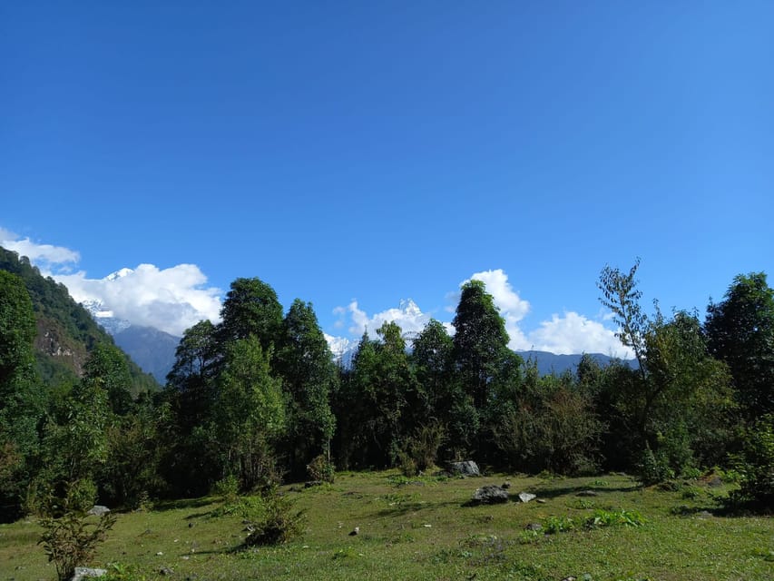 Pokhara Trekking Privado De D As Annapurna Poonhill Ghandruk