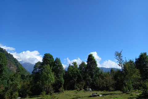 Pokhara : Voyage privé de 3 jours de trekking à Ghorepani Poon Hill