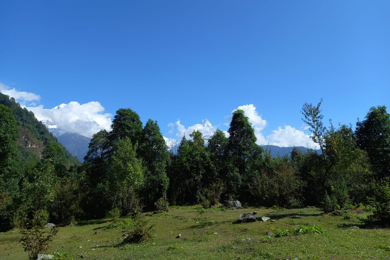 Pokhara : Voyage privé de 3 jours de trekking à Ghorepani Poon Hill