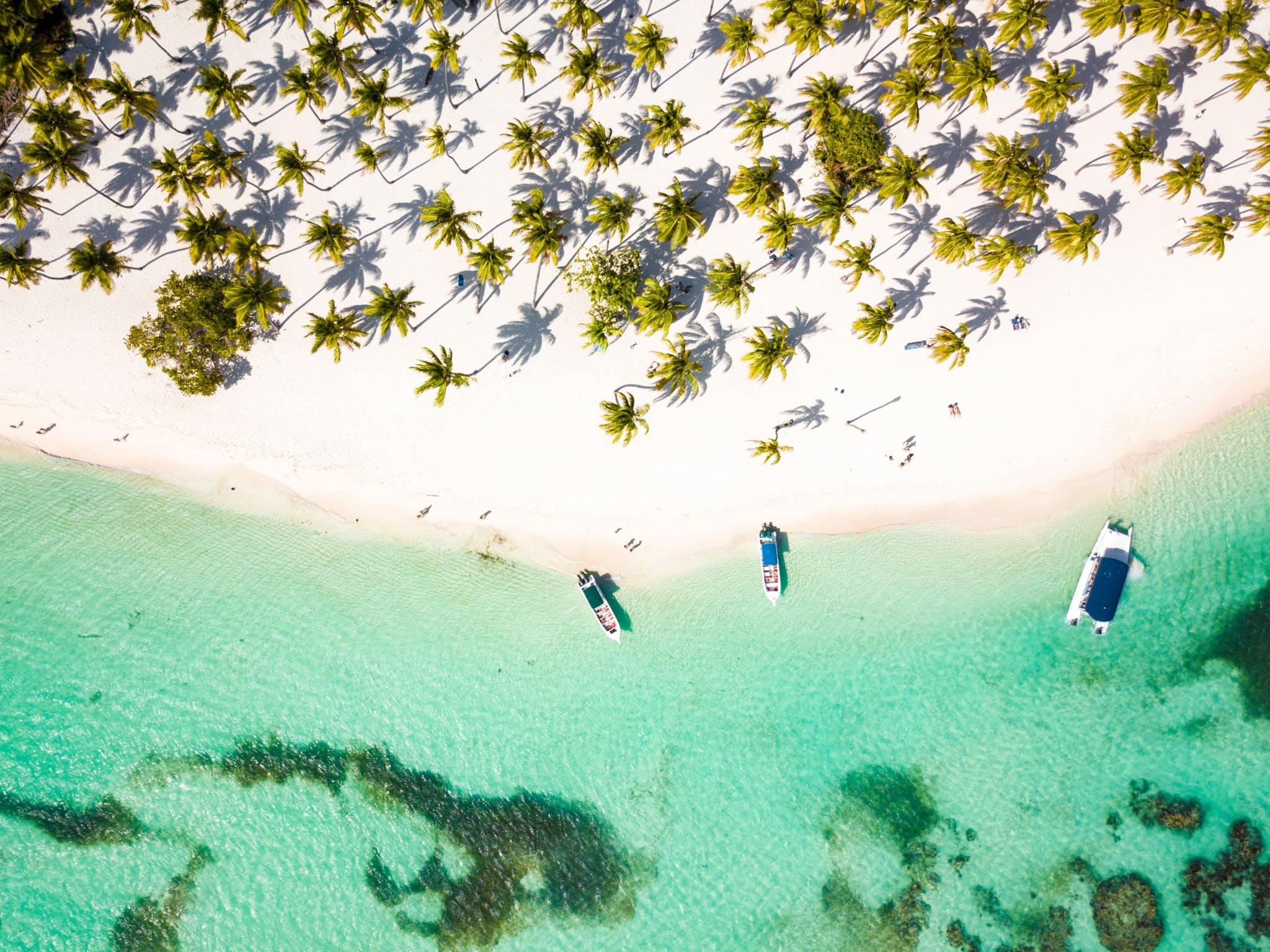 Ab Punta Cana: Saona Island Cruise mit Privatstrand