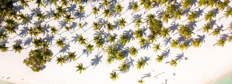 Au départ de Punta Cana : Croisière sur l'île de Saona avec plage privée