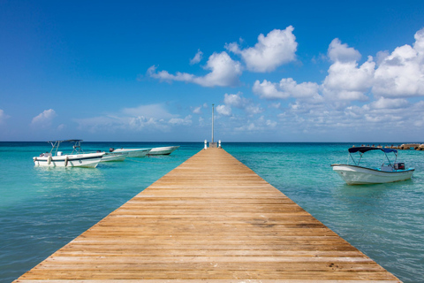 Au départ de Bayahibe, La Romana ou Punta Cana : Croisière sur l'île de SaonaAu départ de Punta Cana