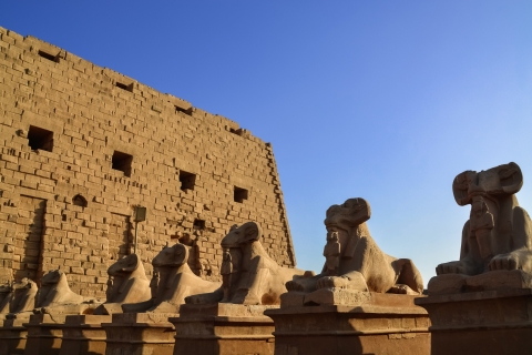 Z Kairu: Prywatna jednodniowa wycieczka do Luksoru z transferem i lotami