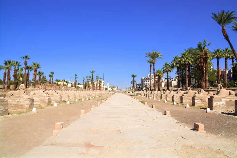 Desde El Cairo: Excursión Privada de un Día a Luxor con Traslado y Vuelos