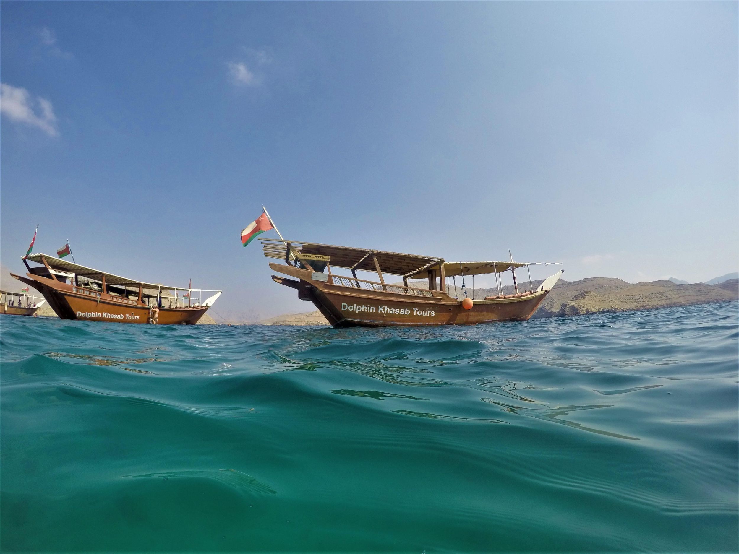Khasab: Halbtägige Dhow-Kreuzfahrt mit Delfinbeobachtung