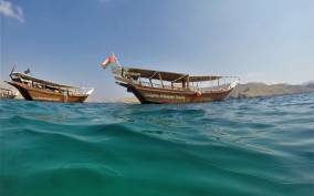 Half day dhow cruise with Dolphin watching