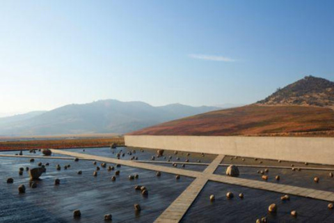 Santiago: begeleide VIK-wijnmakerijtour met proeverij en hotelovernameSantiago: begeleide VIK Winery Tour met proeverij en hotelovername