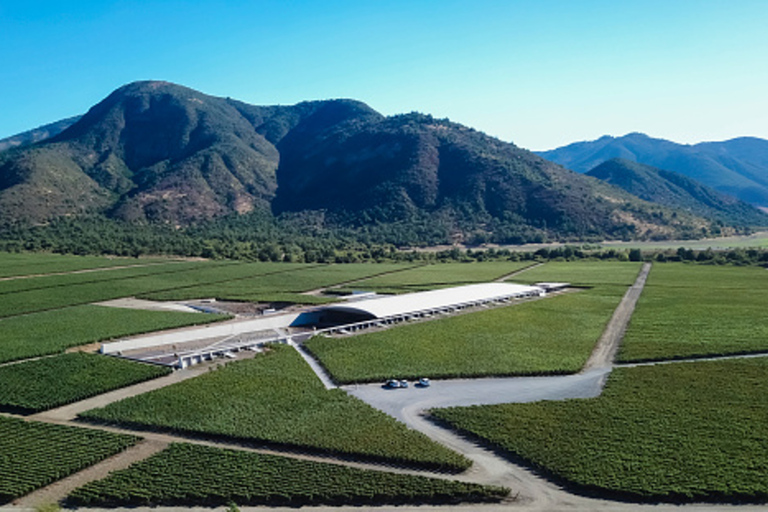 Santiago : Visite guidée des vignobles VIK avec dégustation et prise en charge à l'hôtel