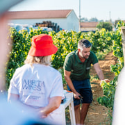 Algarve: Classic Wine Tour & Tasting in Silves