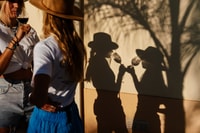 Silves, Algarve Vineyard Tour with Premium Wine Tasting - Housity