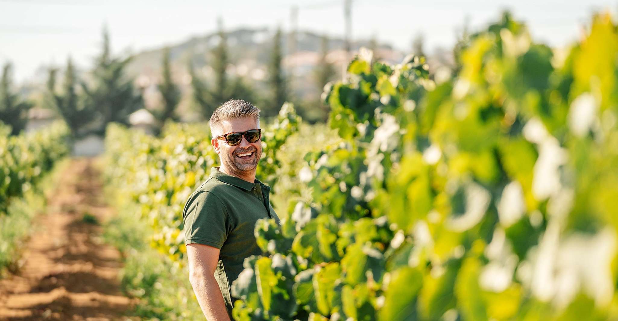 Silves, Algarve Vineyard Tour with Premium Wine Tasting - Housity